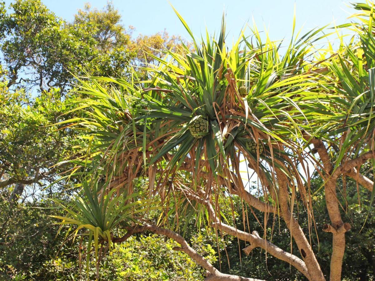 Windmill 4 Two Bedroom Beachside Apartment On Parkyn Parade Mooloolaba Exterior foto